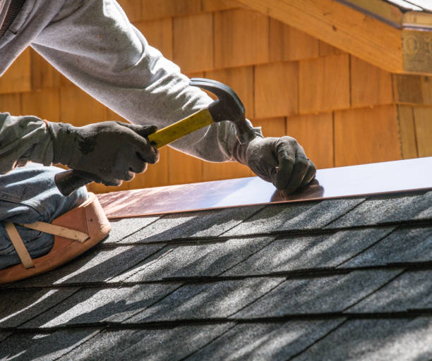 Roof Gutter Cleaning in Lemoore Station, CA